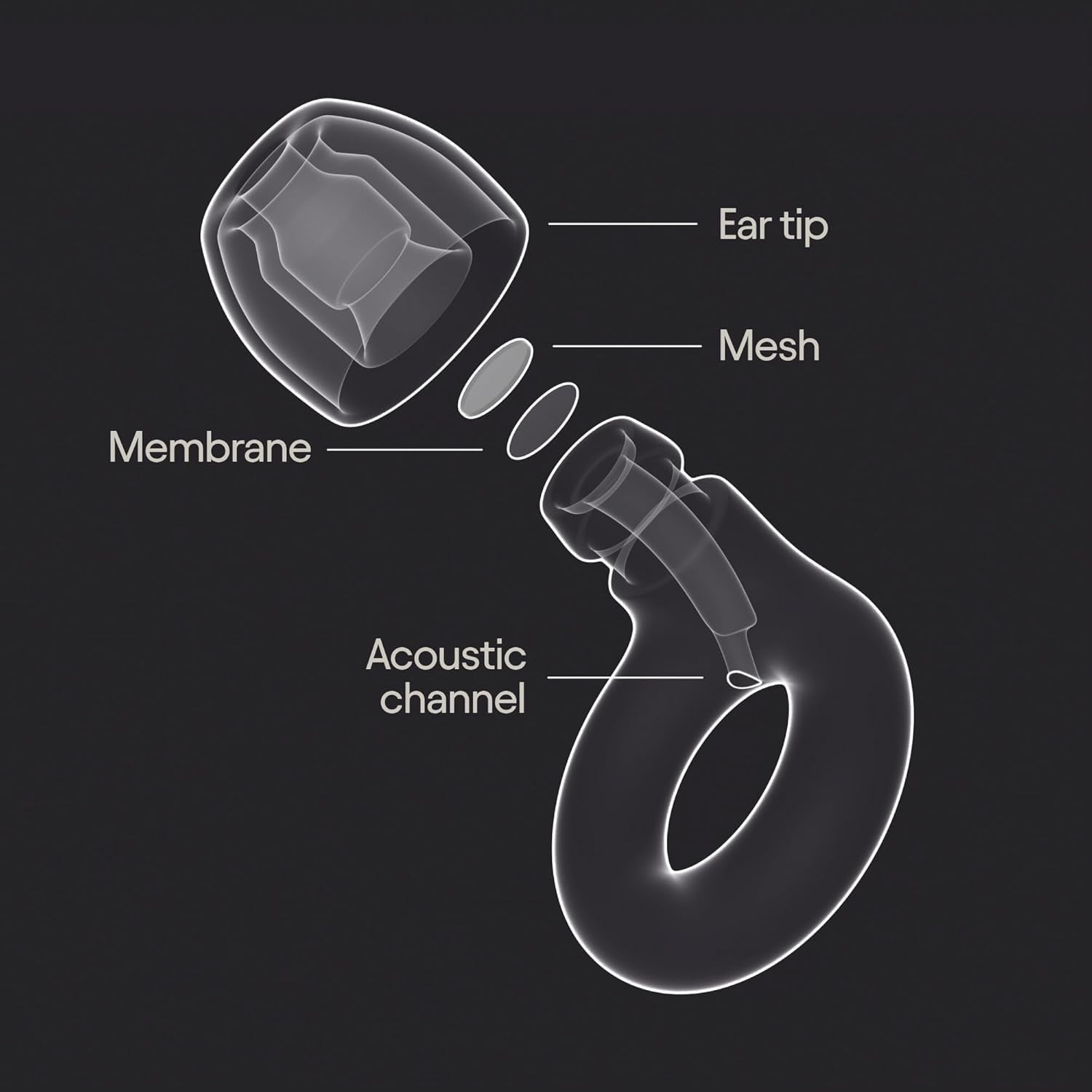 Tomorrowland X Experience 2 Earplugs – Stylish Hearing Protection for Concerts & Festivals, Live Music, Nightlife & Musicians – 17Db Noise Reduction Ear Plugs (High-Fidelity) – Limited Edition