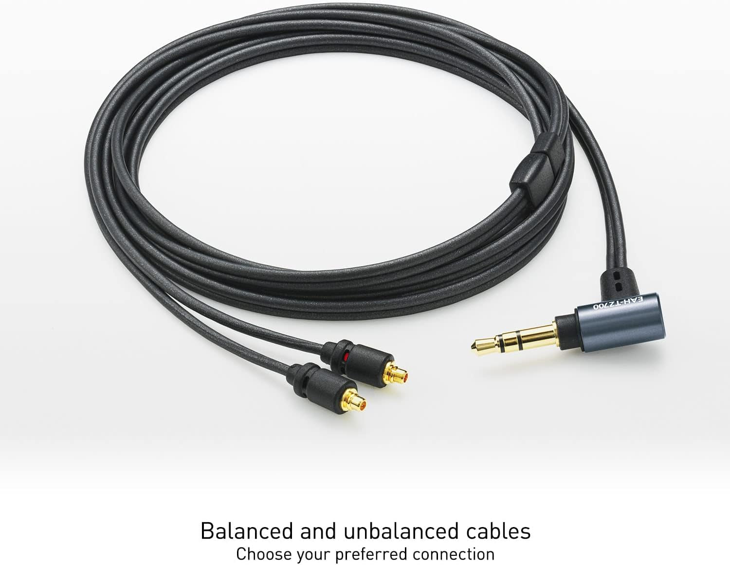 Premium In- Ear Monitors IEM, High-Fidelity Wired In-Ear Earbuds Earphones with Innovative 10Mm Driver for Ultra-Low Distortion - EAH-TZ700, Black/Gold