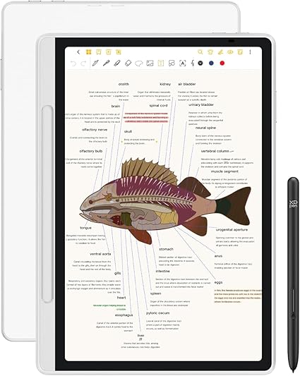 XPPen Magic Note Pad (11")