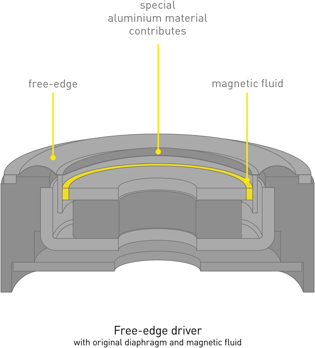 Premium In- Ear Monitors IEM, High-Fidelity Wired In-Ear Earbuds Earphones with Innovative 10Mm Driver for Ultra-Low Distortion - EAH-TZ700, Black/Gold