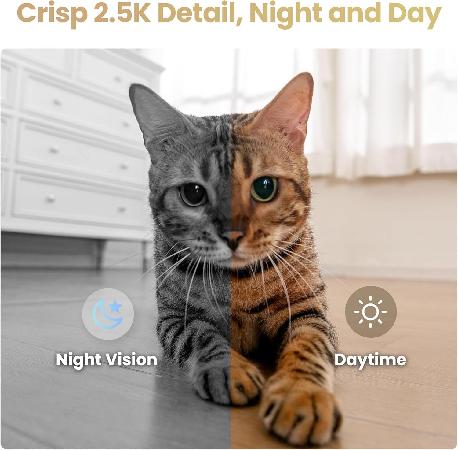 Air 2S Familybot Home Robot Camera: 2.5K Indoor Pet Cam, Movable Robot Camera, 2-Way Video, Auto-Recharge, Long Battery Life, Custom Facial Image, Night Vision