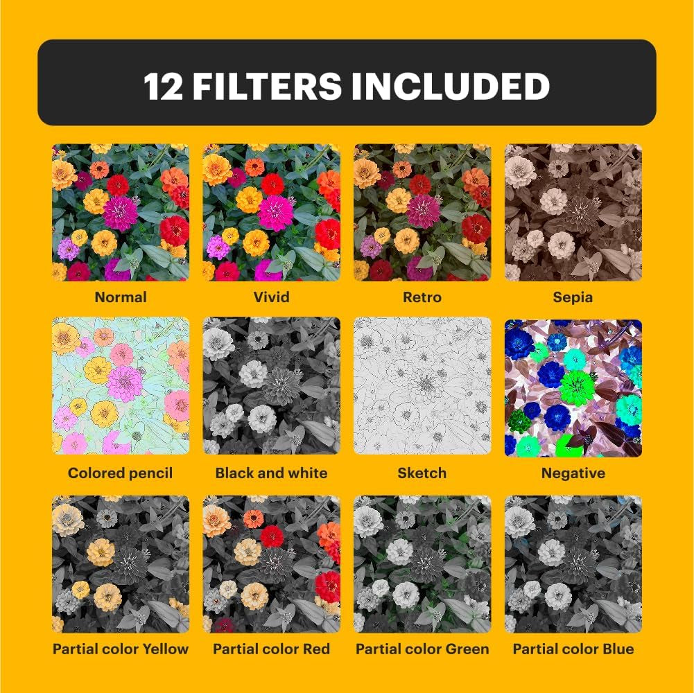 PIXPRO C1 Friendly Zoom Digital Camera - 13MP Compact Point and Shoot with 2.8” 180° Tilt LCD Flip Screen, Retro Vintage Design with 4X Zoom and 1080P Full HD Video for Travel, Vlogging, Black